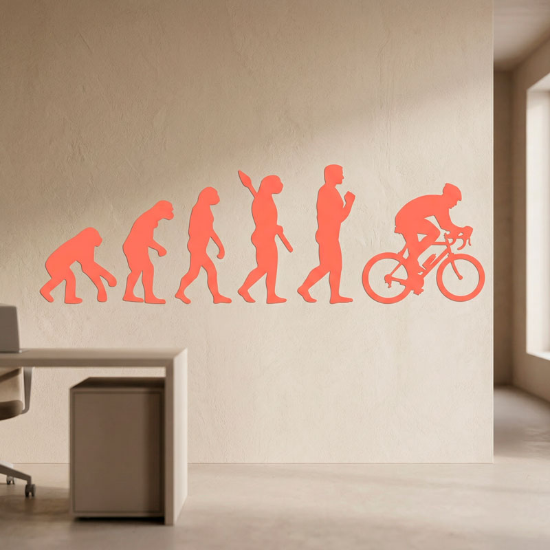 Evoluzione ciclismo 6/12