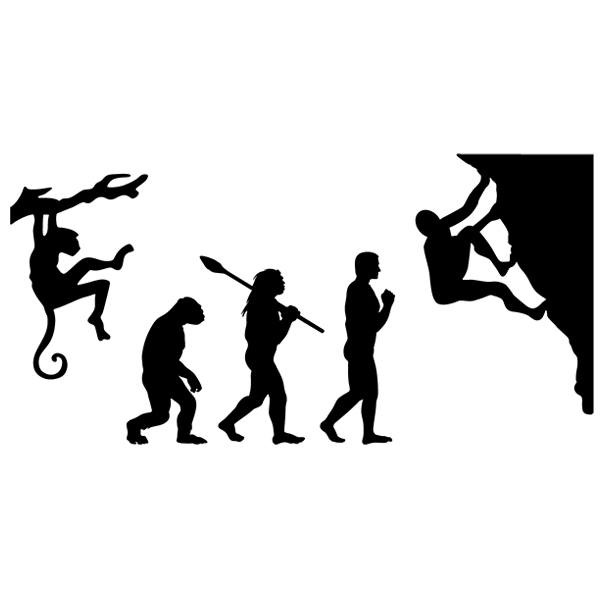 Adesivi Murali: Evoluzione crescente