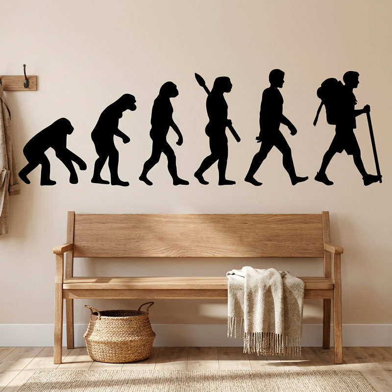 Evoluzione dell 2/8