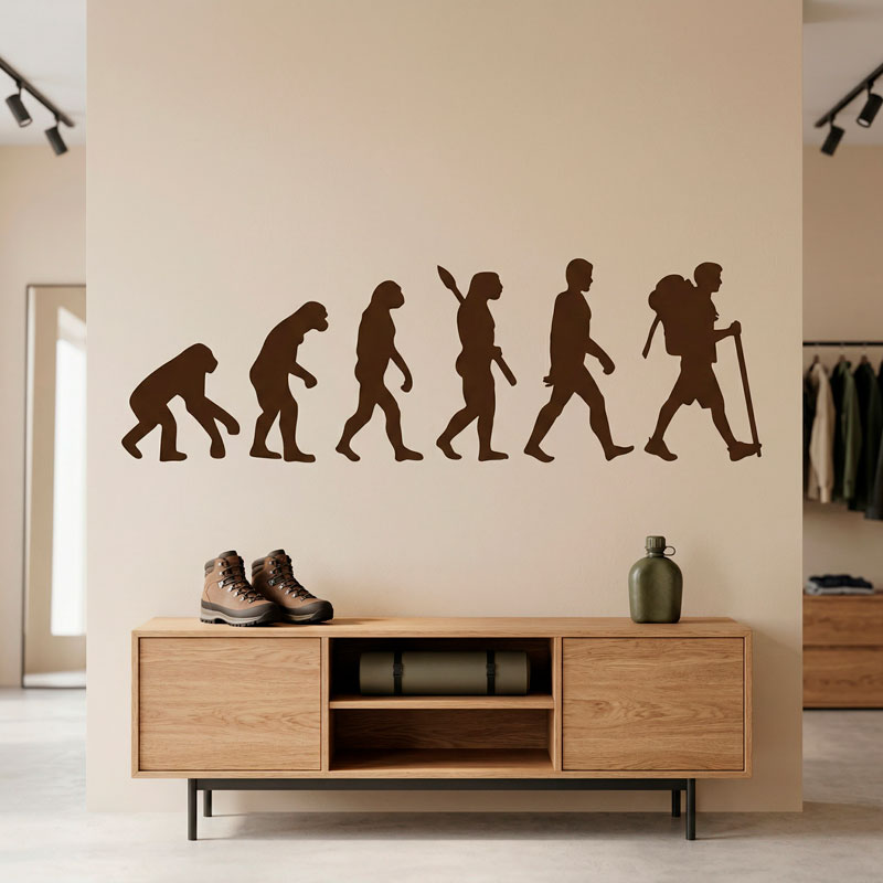 Evoluzione dell 4/8