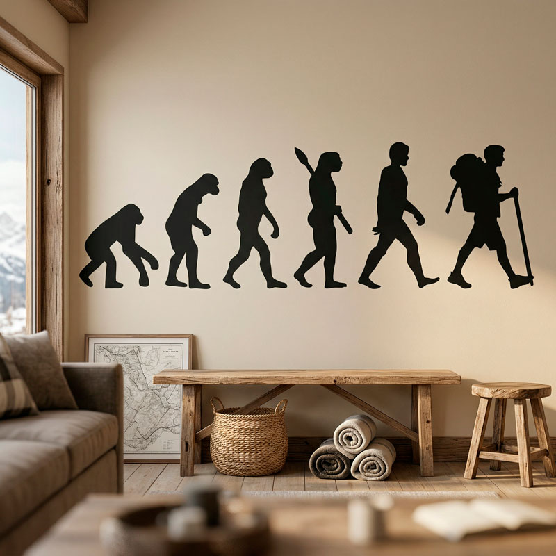 Evoluzione dell 6/8