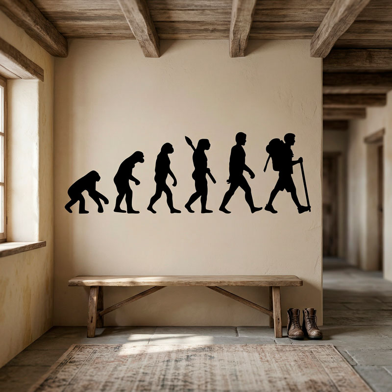 Evoluzione dell 8/8