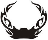 Adesivi per Auto e Moto: Hood Flames