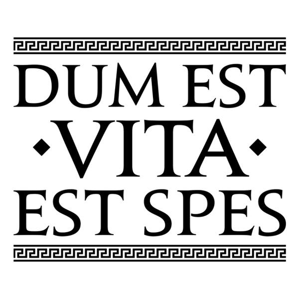 Adesivi Murali: Dum Est Vita Est Spes