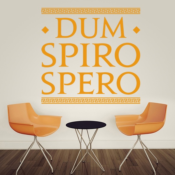 Adesivi Murali: Dum Spiro Spero