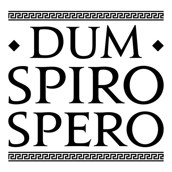 Adesivi Murali: Dum Spiro Spero