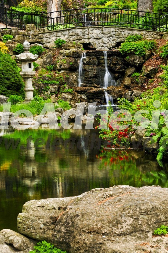 Fotomurali : Giardino imperiale