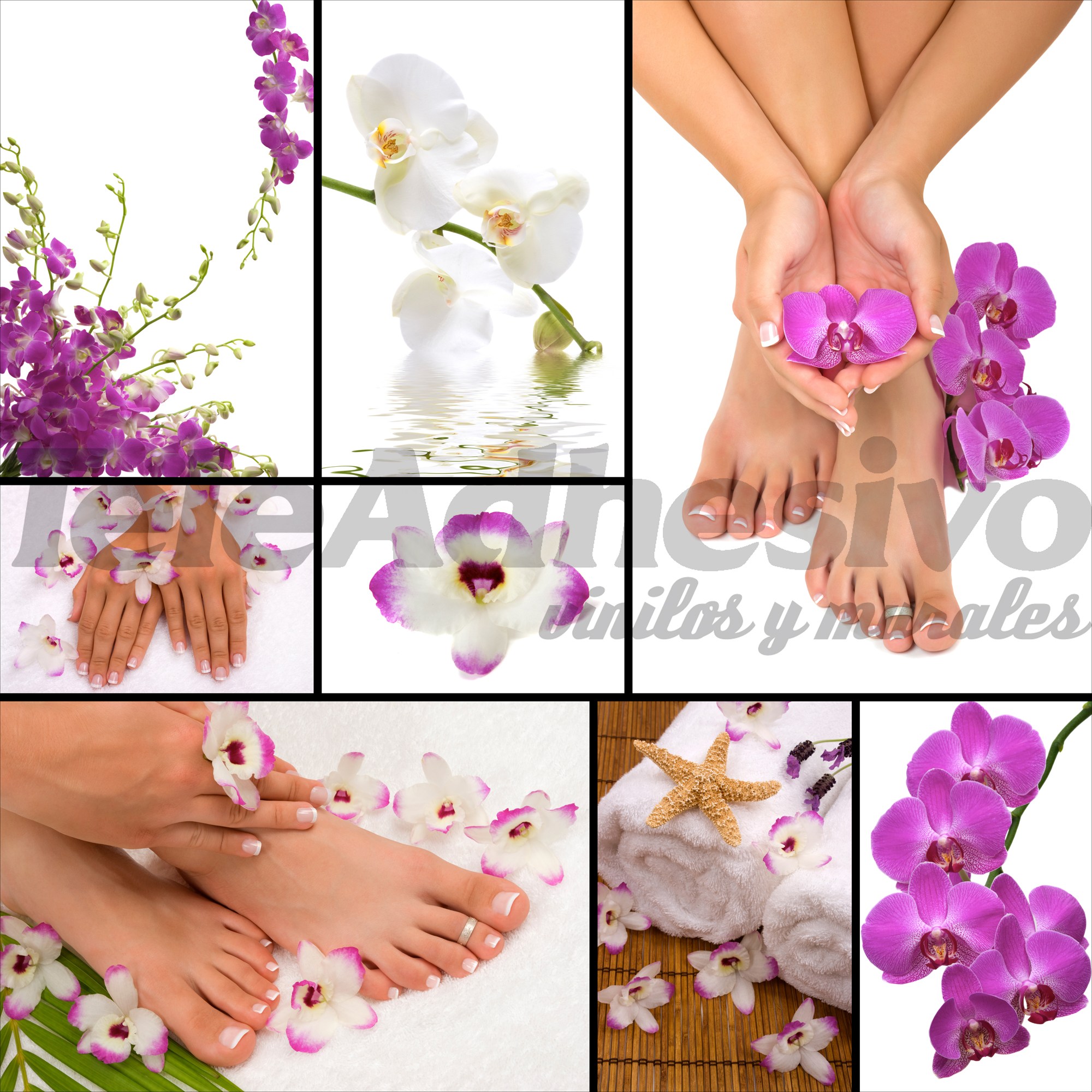 Fotomurali : Manicure, pedicure
