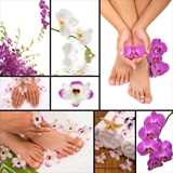 Fotomurali : Manicure, pedicure 2