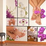 Fotomurali : Manicure, pedicure 4