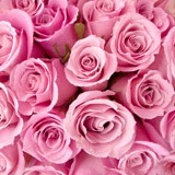 Fotomurali : Bouquet di Rose 3