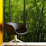 Fotomurali : Bambù 2
