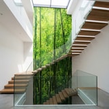 Fotomurali : Bamb&ugrave; 11