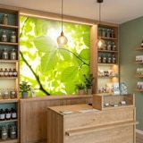 Fotomurali : Foglie 17