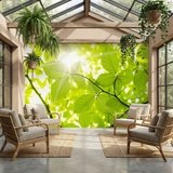 Fotomurali : Foglie 18