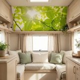 Fotomurali : Foglie 6