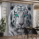 Fotomurali : White Tiger 3