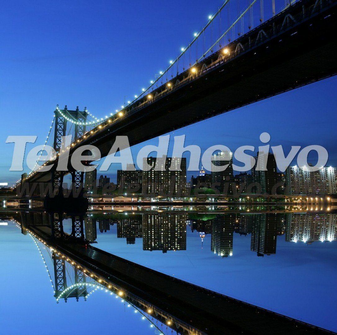 Fotomurali : Ponte di Manhattan