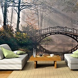 Fotomurali: Ponte nella foresta 3