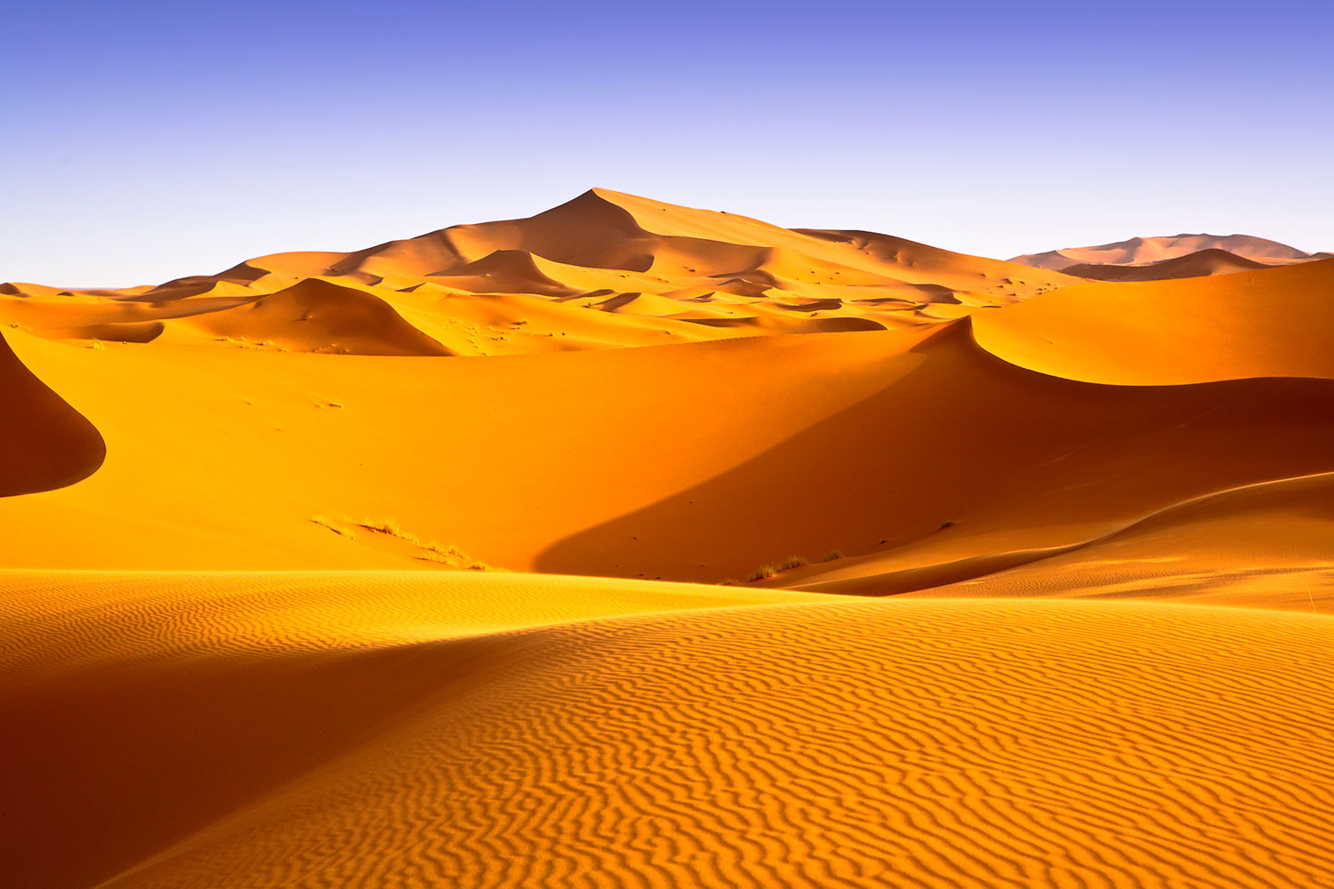 Fotomurali : Deserto del Sahara