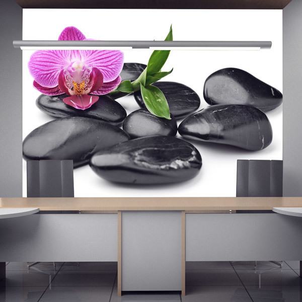 Fotomurali : Orchidea con pietre