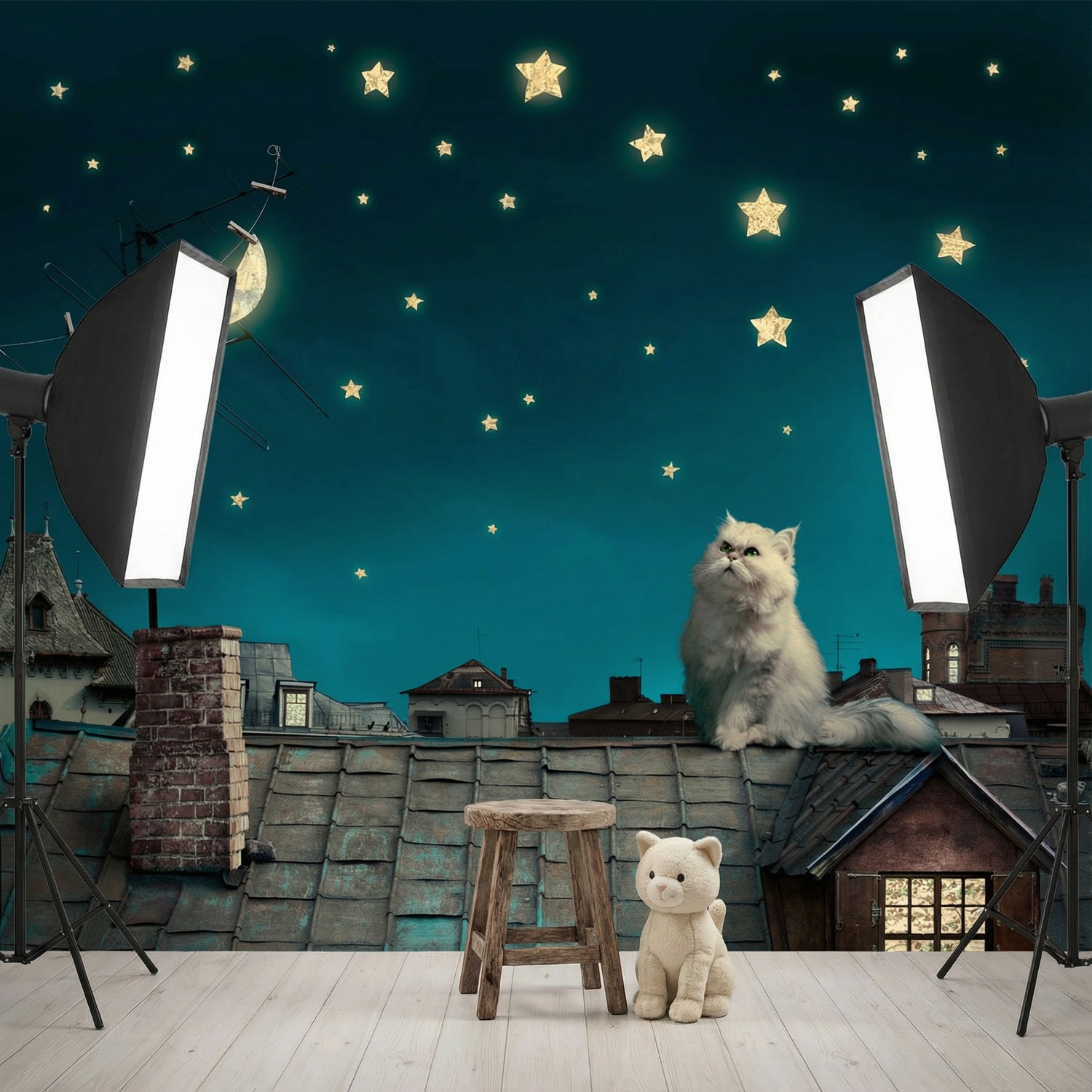 Fotomurali : Gatto sul tetto