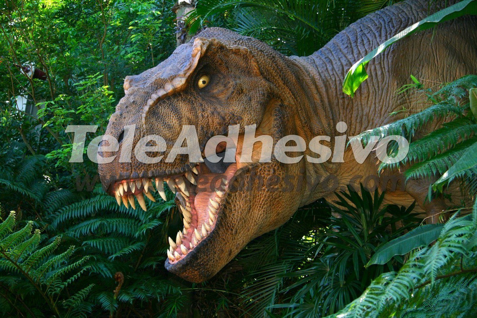 Fotomurali : Tyrannosaurus Rex