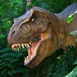 Fotomurali : Tyrannosaurus Rex 3