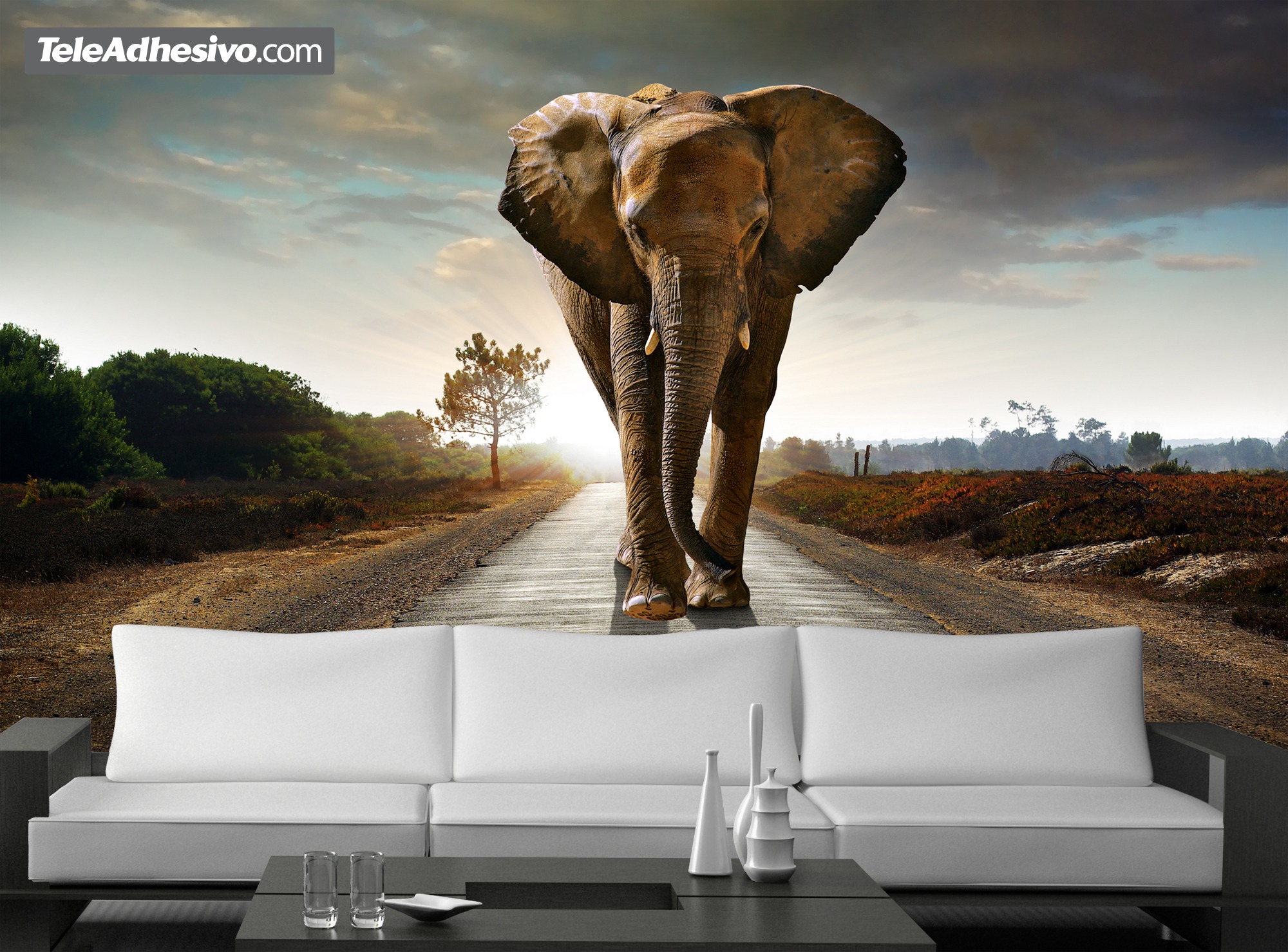 Fotomurali : Elefante