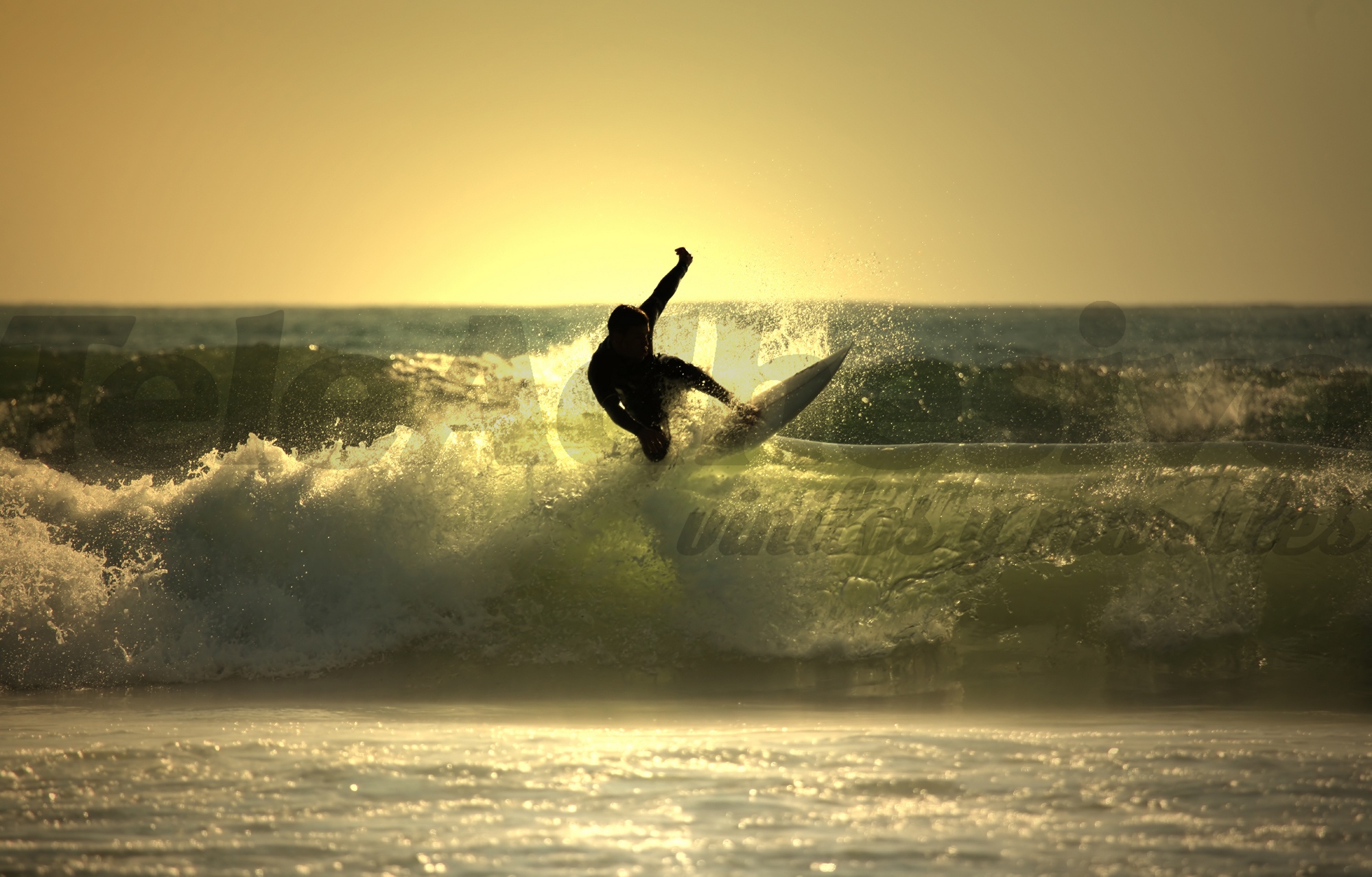 Fotomurali : Surf