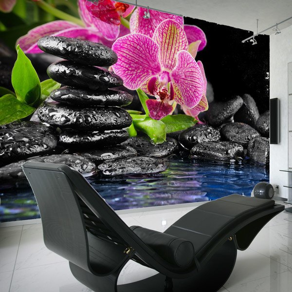 Fotomurali : Orchidea e basalto 0