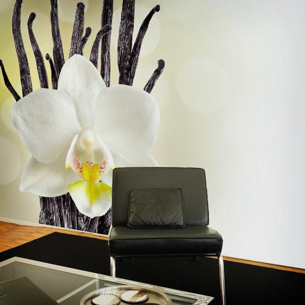 Fotomurali : Orchidea bianca