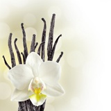 Fotomurali : Orchidea bianca 2