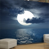 Fotomurali : Luna sopra il mare 4