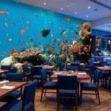 Fotomurali : barriera corallina con pesci 11