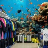 Fotomurali : barriera corallina con pesci 9