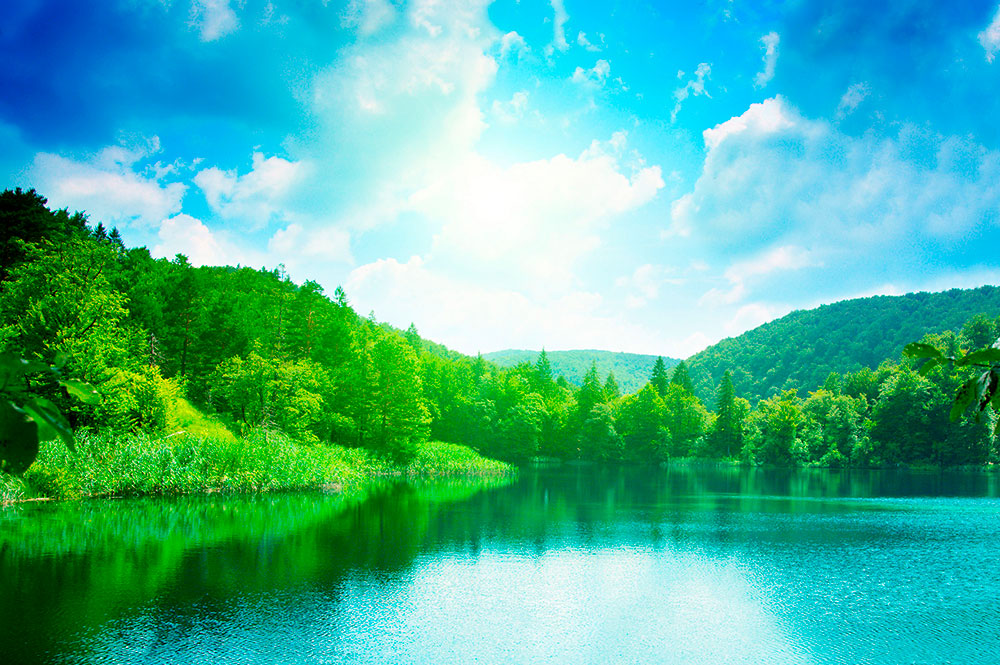 Fotomurali : Lago in montagna