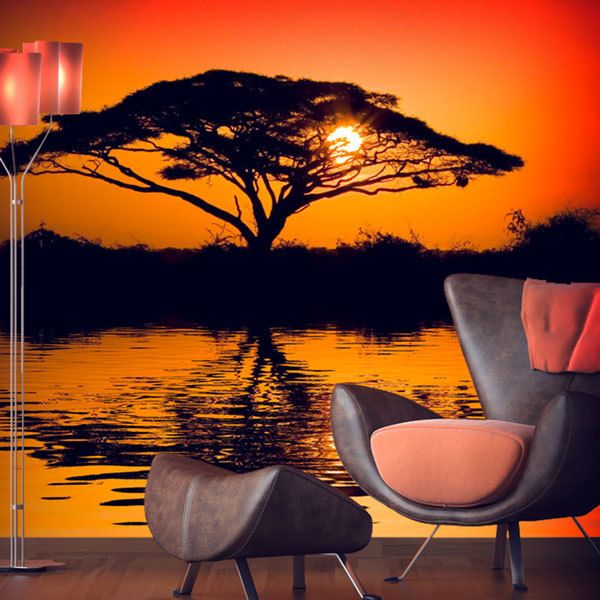 Fotomurali : Acacia africana al tramonto