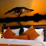 Fotomurali: Acacia africana al tramonto 2
