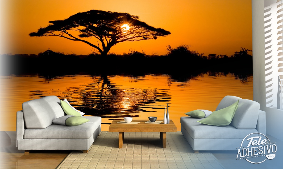 Fotomurali: Acacia africana al tramonto