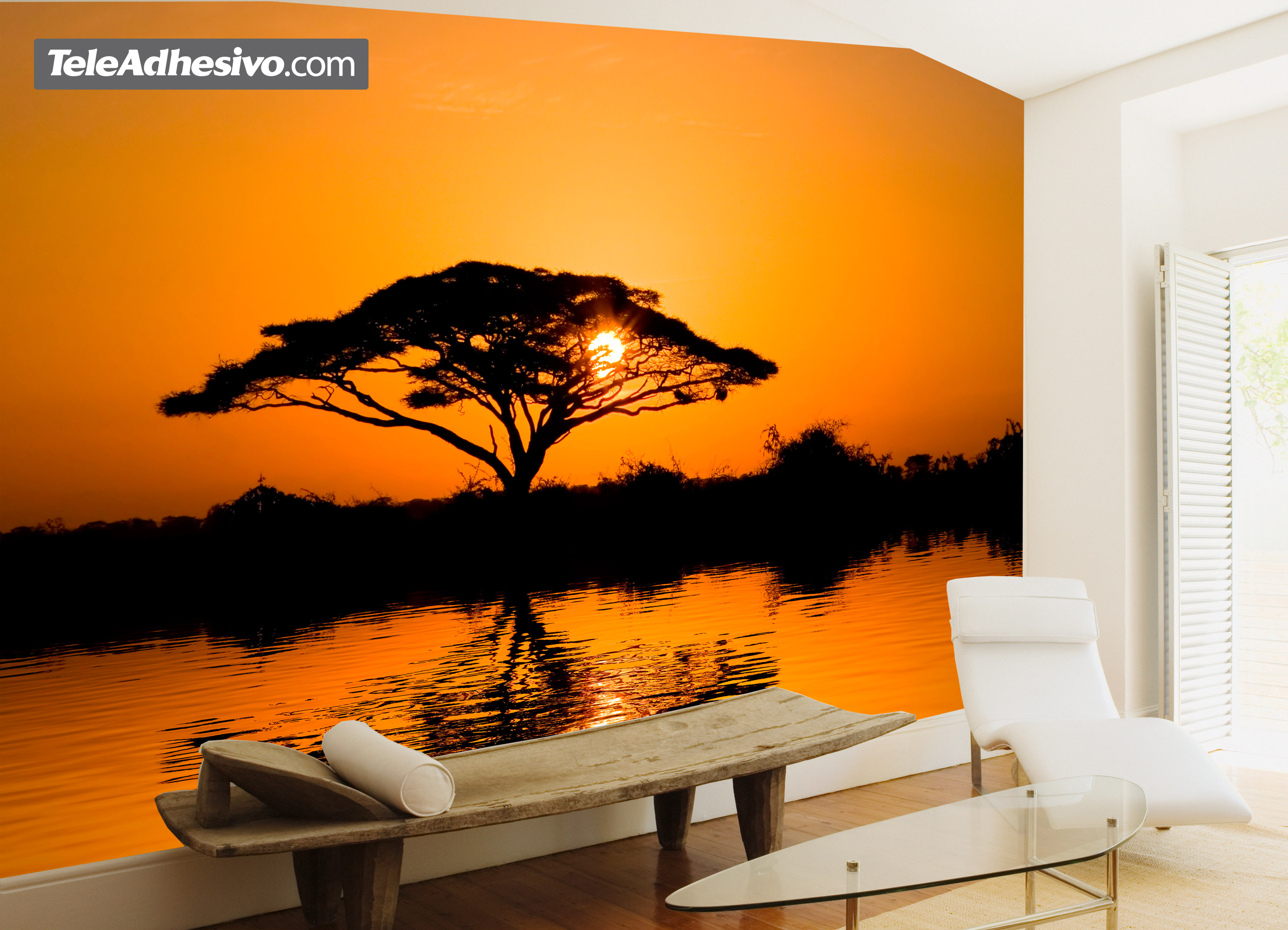 Fotomurali: Acacia africana al tramonto