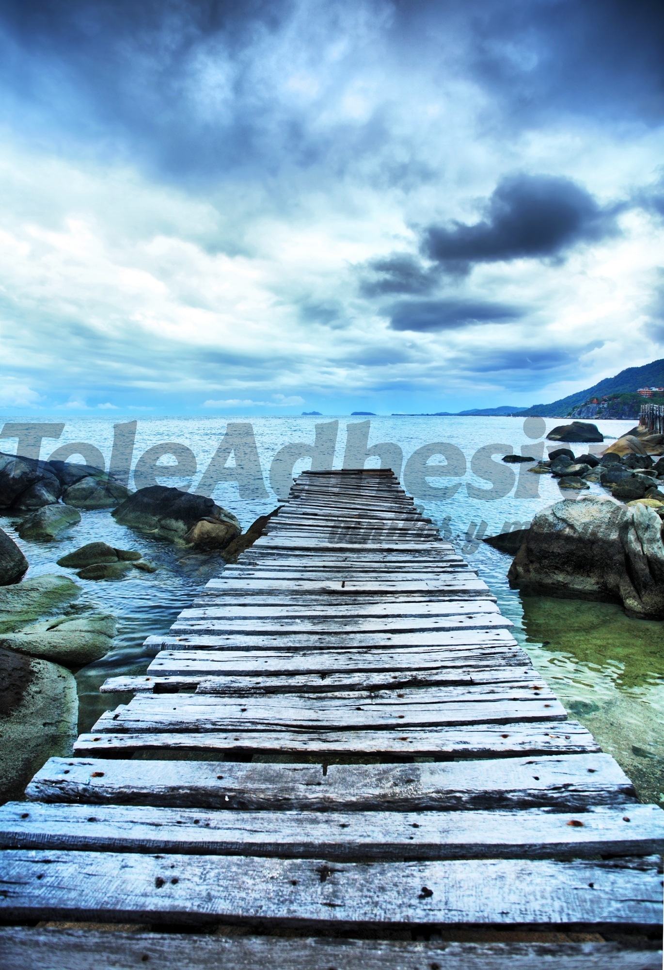 Fotomurali : Passerella tra le rocce