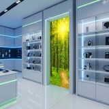 Fotomurali : Tramonto nella foresta 18