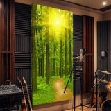 Fotomurali : Tramonto nella foresta 9