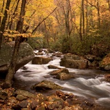 Fotomurali : Fiume foresta d'autunno 2