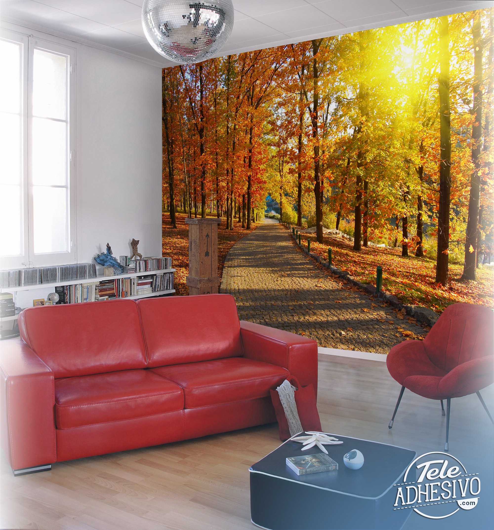 Fotomurali : Cammino attraverso il parco autunnale