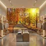 Fotomurali : Cammino attraverso il parco autunnale 6