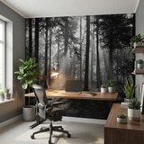 Fotomurali : Foresta in bianco e nero 9