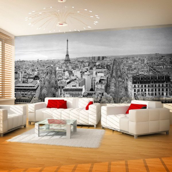 Fotomurali : Panoramica di Parigi in bianco e nero