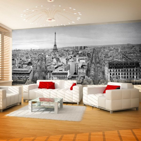 Fotomurali : Panoramica di Parigi in bianco e nero 0